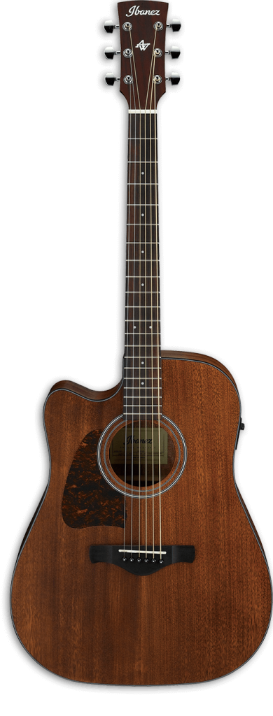 Ibanez Artwood AW54LCE Left-Handed Semi-Acoustic Guitar, Open Pore Natural