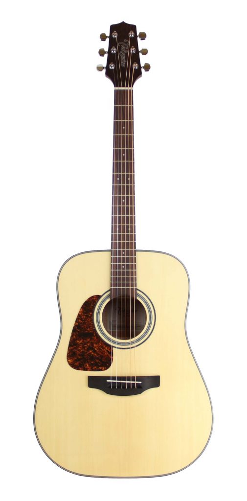 Takamine GD10LHNS Dreadnought Spruce Top, Natural - Left Handed