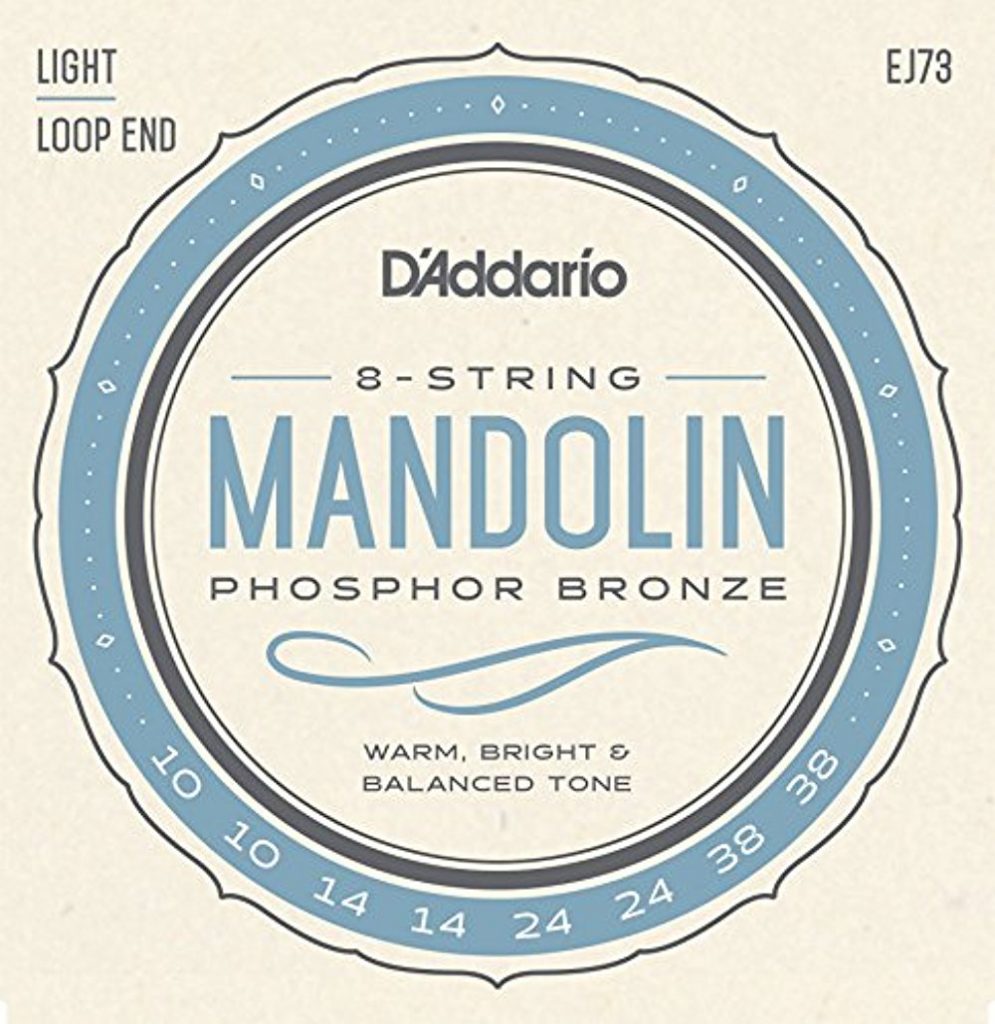 D'Addario EJ73 Phosphor Bronze Mandolin Strings, Light, 10-38