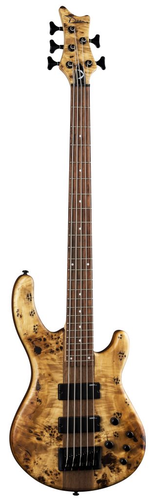 Dean Edge Select 5-String Bass, Burled Poplar, E5 SEL BRL