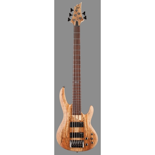 ESP LTD B-205SM Bass Guitar Natural Satin Spalted Maple Top 5 String LB205SMNS