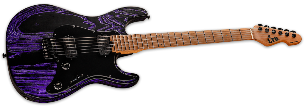 ESP LTD SN-1000HT Electric Guitar Purple Blast
