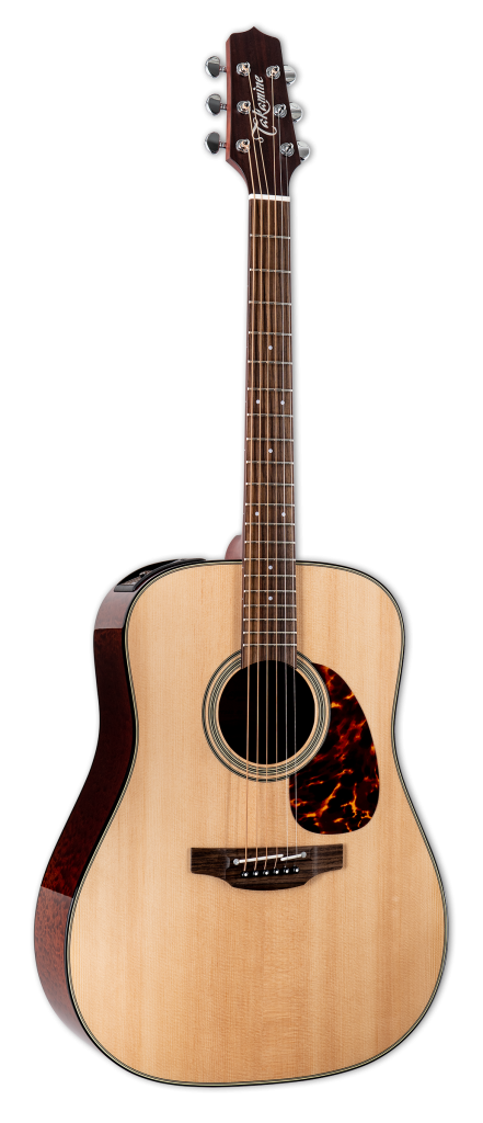 Takamine FT340BS Acoustic-electric Guitar - Natural