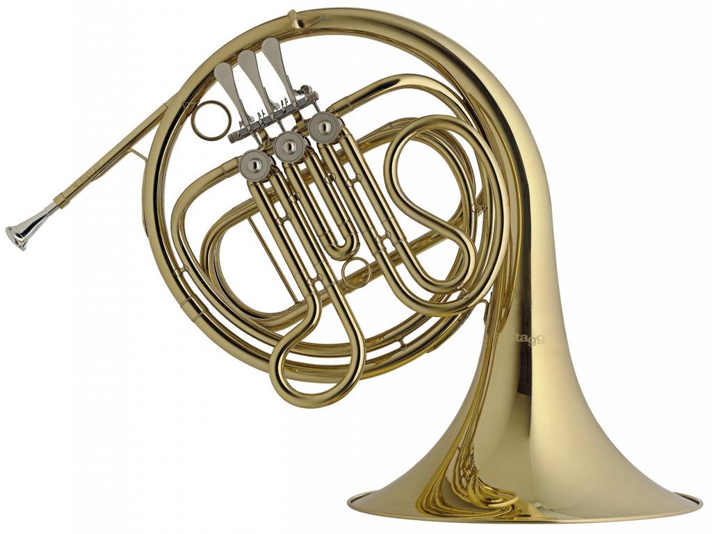 NEW Stagg WS-HR245 Brass French Horn with 3 Rotary Valves and Form Case