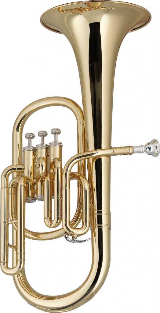 Stagg WS - AH235 Eb Alto Horn with ABS Hard Case